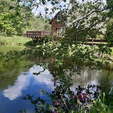 Pod Dobrym Adresem- Domek Nad Stawem Cisna Exterior foto