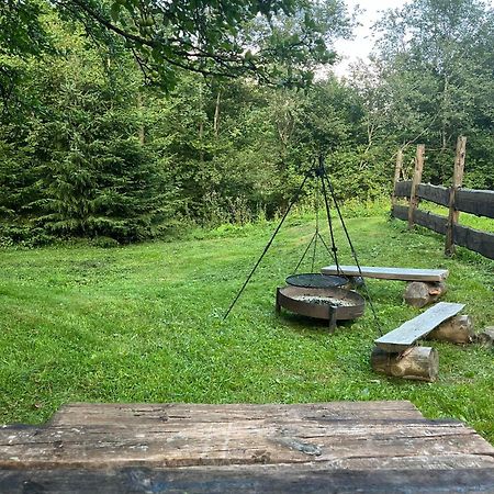 Pod Dobrym Adresem- Domek Nad Stawem Cisna Exterior foto