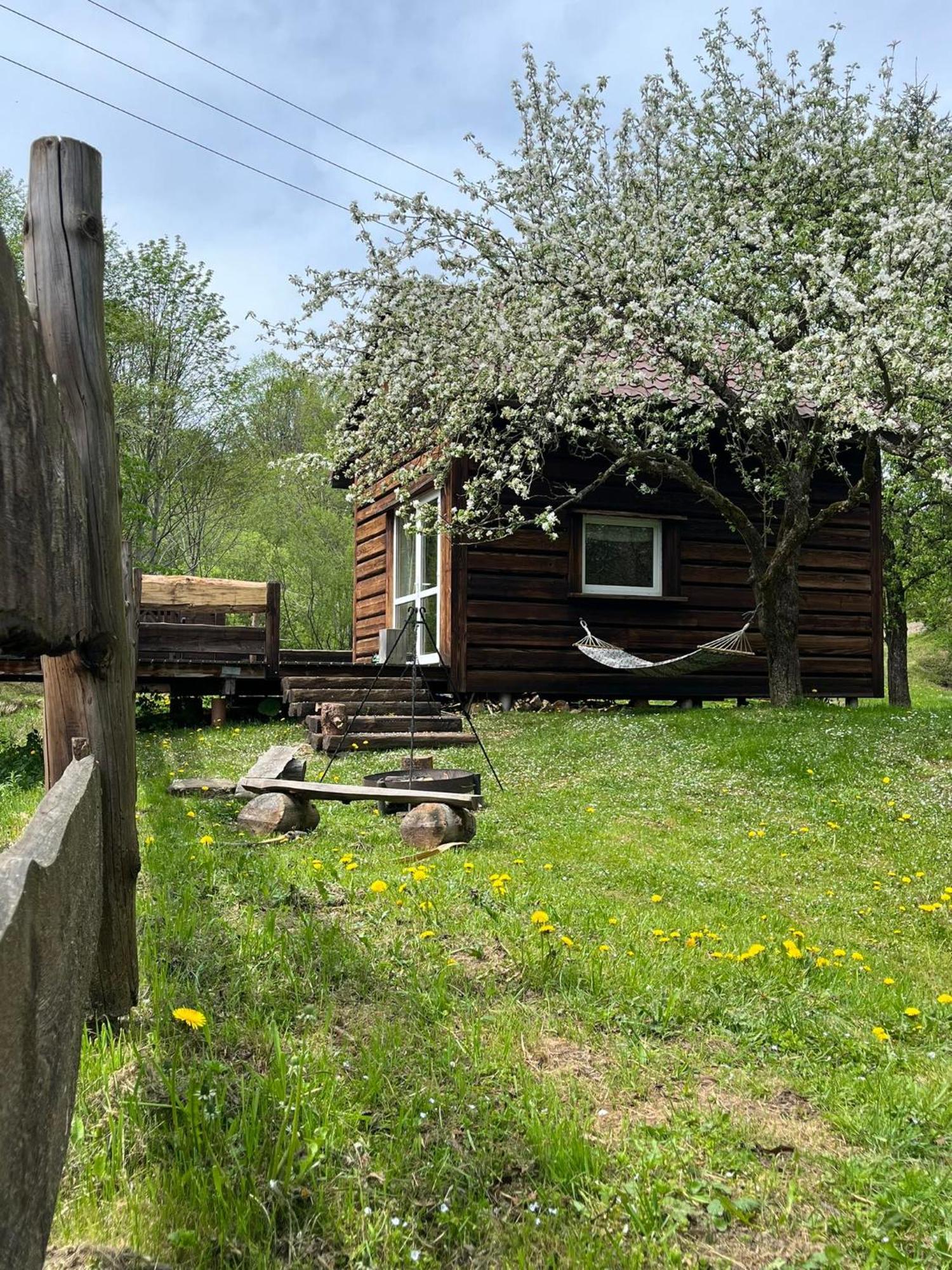 Pod Dobrym Adresem- Domek Nad Stawem Cisna Exterior foto