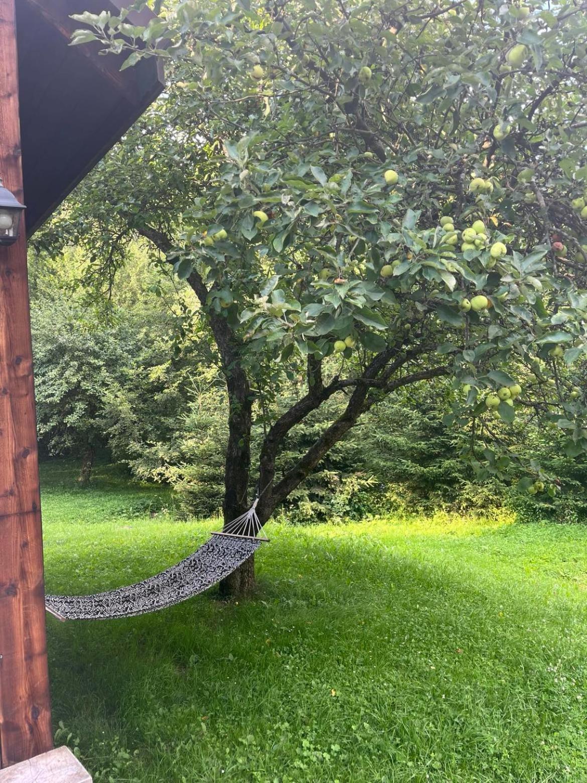 Pod Dobrym Adresem- Domek Nad Stawem Cisna Exterior foto